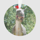 Pesquisar por dinossauro papai noel ornamentos Xmas