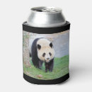 Pesquisar por panda armazenamento alimentos Kawaii