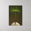 Pesquisar por dandelion impressão de canvas Preto e branco