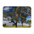 Pesquisar por goma imas Austrália