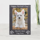Pesquisar por dog mothers day cartoes Mães