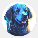 Pesquisar por detalhado adesivos Azul