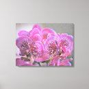 Pesquisar por orquídea roxa impressão de canvas Orquídeas