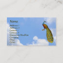 Pesquisar por sky blue cartao de visita Céu