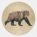 Pesquisar por mandioca adesivos Urso