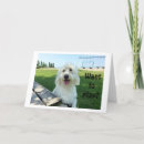 Pesquisar por brincar cartoes Qualquer pessoa