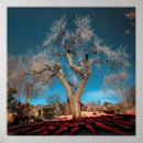 Pesquisar por raiz pósteres Paisagem