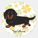 Pesquisar por dachshunds adesivos Para ela