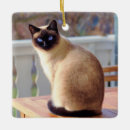 Pesquisar por olhos azuis ornamentos Animal