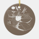 Pesquisar por vetor ornamentos Natureza