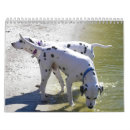 Pesquisar por australiano calendarios Cães