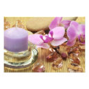 Pesquisar por flor da orquídea pôsteres pósteres Zen