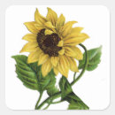 Pesquisar por floral amarelo padrão casamento adesivos Flores