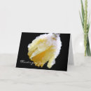 Pesquisar por narciso do narciso cartoes Daffodil