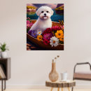 Pesquisar por meu maltês pôsteres pósteres Qualquer pessoa