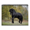 Pesquisar por calendário do cavalo calendarios Fotos