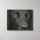 Pesquisar por labrador preto impressão de canvas Cão