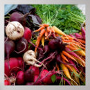 Pesquisar por raiz quadrada pósteres Raízes