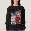 Pesquisar por pit bull roupas Engraçado