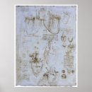 Pesquisar por coração humano pôsteres pósteres Anatomia