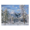 Pesquisar por yellowstone fotografia Wyoming