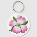 Pesquisar por dogwood cor de rosa Flores