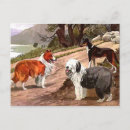 Pesquisar por colônia cartoes postais Cão