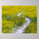 Pesquisar por pintura floral pôsteres pósteres Flor silvestre