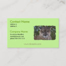 Pesquisar por leão selvagem cartao de visita Gato grande