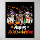 Pesquisar por shih tzu pôsteres pósteres Feriado