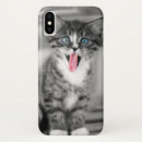 Pesquisar por gatinhos capas Animal