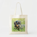Pesquisar por doxie bolsas Saco