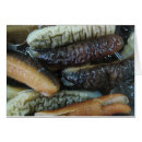 Pesquisar por pepino cartoes Humor