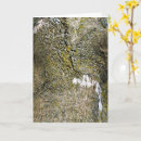 Pesquisar por moss cartoes Verde