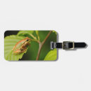 Pesquisar por horizontal bagagem tags Verde