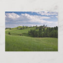 Pesquisar por custer Natureza