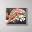 Pesquisar por pantera impressão de canvas Camaleão