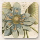 Pesquisar por vintage floral de porta copos Botânico