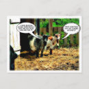 Pesquisar por band cartoes postais Fazenda