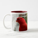Pesquisar por lory Vermelho