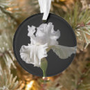 Pesquisar por flower garden ornamentos Plant