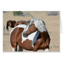 Pesquisar por potro da égua cartoes postais Mustang