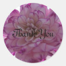 Pesquisar por lustroso adesivos Obrigado