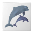 Pesquisar por golfinhos azulejos Salto