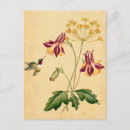 Pesquisar por beijo doce cartoes postais Para todos