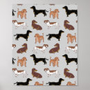 Pesquisar por poster do dachshund pôsteres pósteres Qualquer crinaça