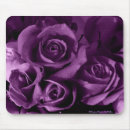 Pesquisar por embaçamento roxo Flores