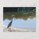 Pesquisar por postcrossing cartoes postais Oceano