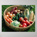 Pesquisar por ferramentas pôsteres pósteres Agricultura