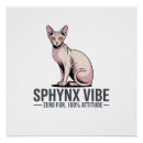 Pesquisar por gato sphynx pôsteres pósteres Para amante de gatos